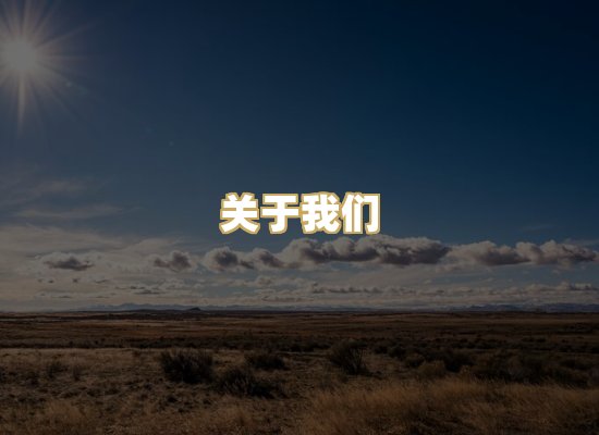 关于我们
